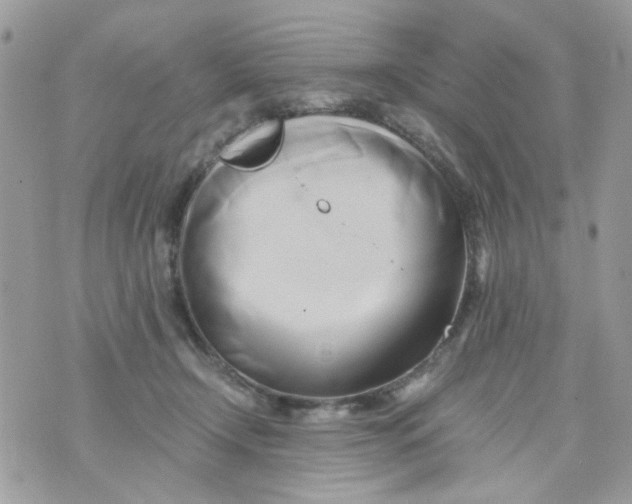 X0000071380366200607212218