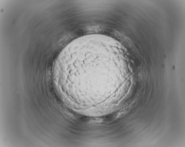 X0000071380369200607212218