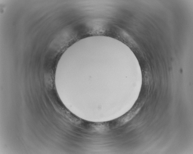 X0000071380370200607212218