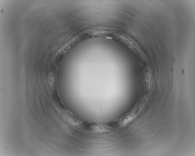 X0000071380372200607212218