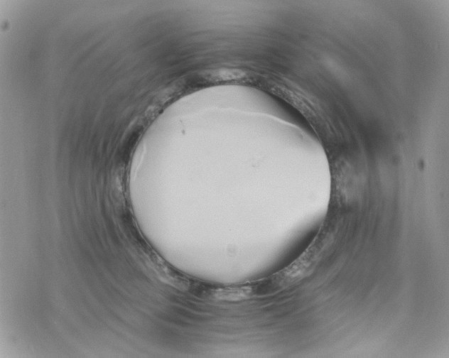 X0000071380373200607212218