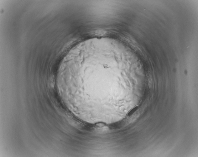 X0000071380374200607212218