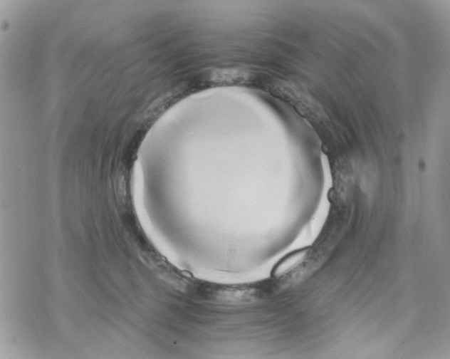 X0000071380375200607212218