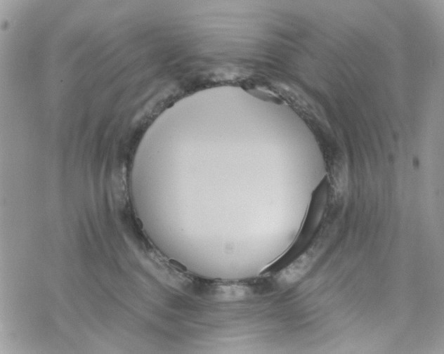 X0000071380376200607212218