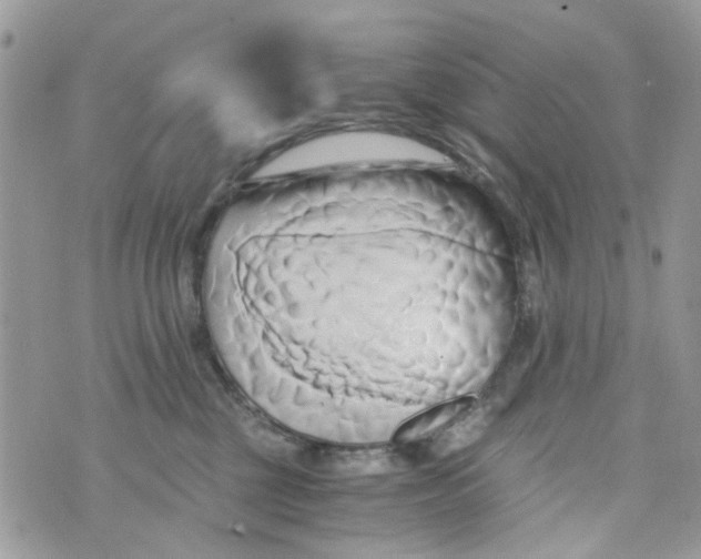 X0000071380377200607212218