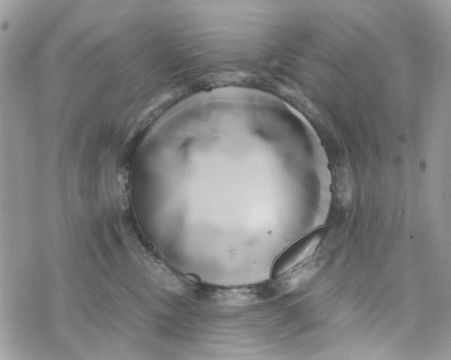 X0000071380378200607212218