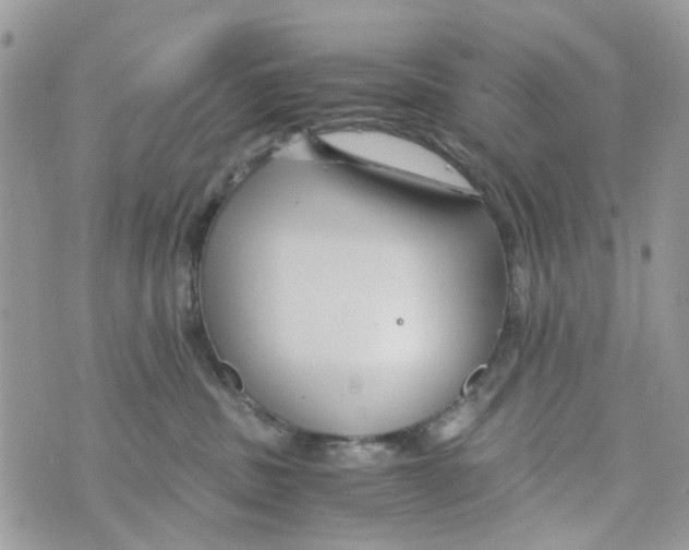 X0000071380379200607212218