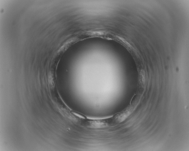 X0000071380380200607212218