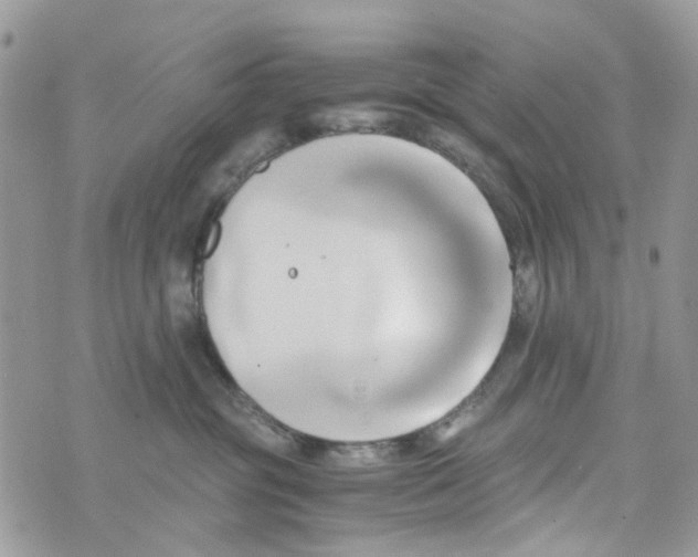 X0000071380381200607212218