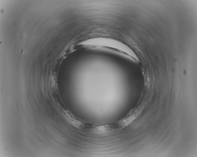 X0000071380382200607212218