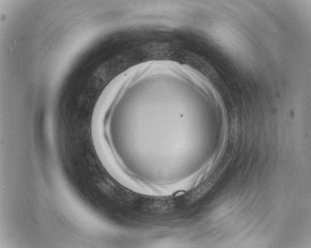 X0000071380383200607212218