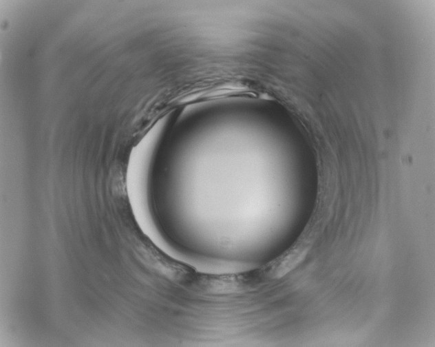 X0000071380384200607212219