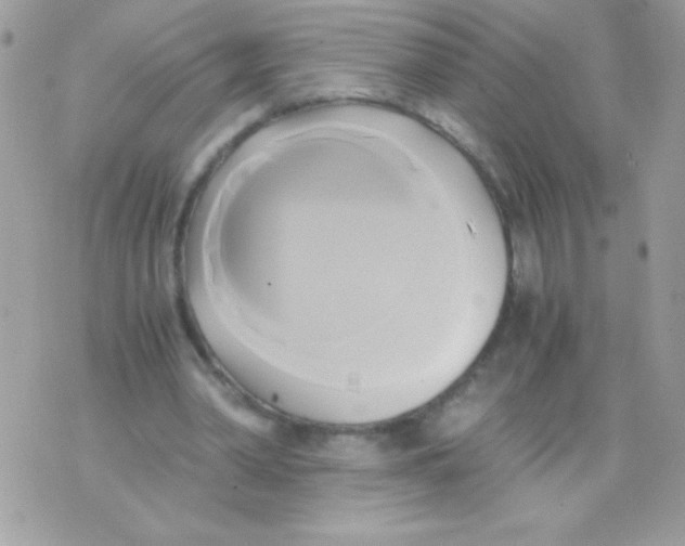 X0000071380390200607212218