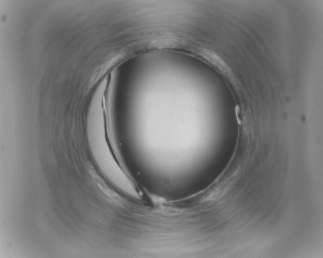 X0000071380393200607212218