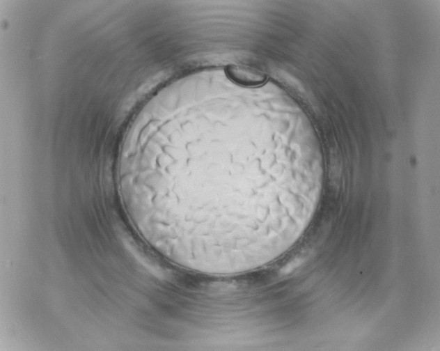 X0000071380394200607212218