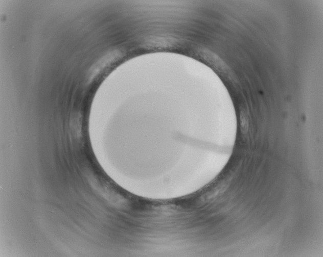 X0000071380396200607212218