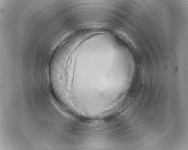 X0000071380398200607212218