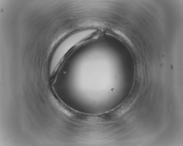 X0000071380399200607212218