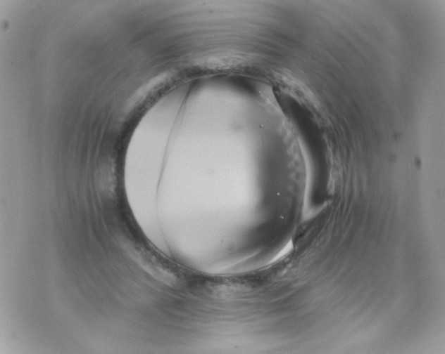 X0000071380400200607212217