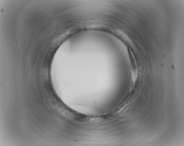 X0000071380401200607212217