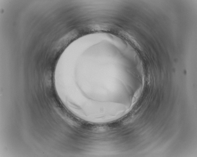 X0000071380402200607212217