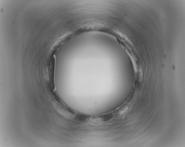 X0000071380403200607212217