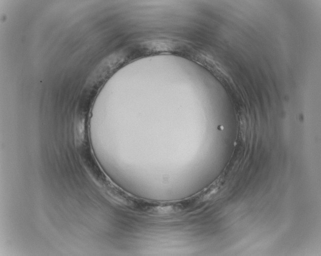 X0000071380406200607212217