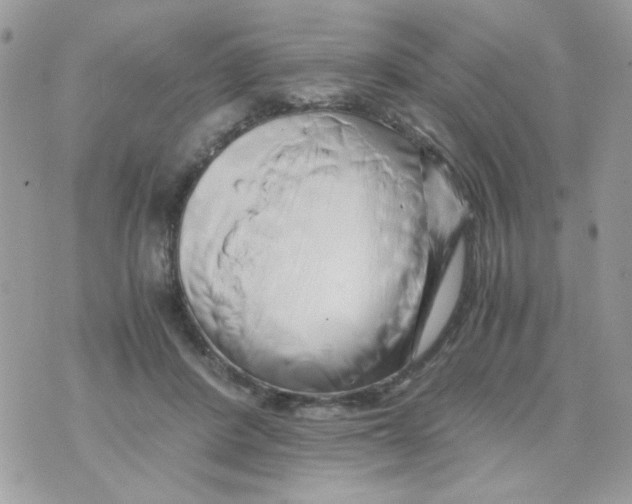 X0000071380408200607212217