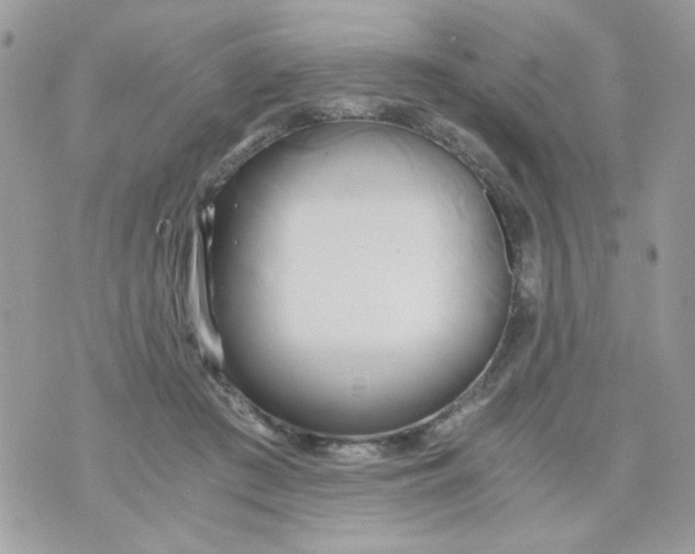 X0000071380409200607212217