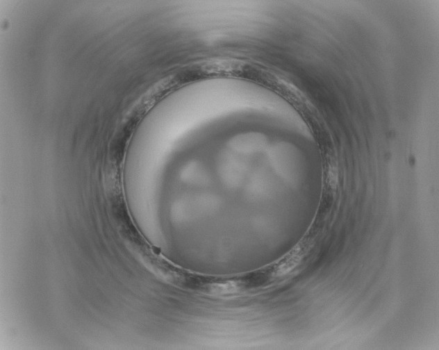 X0000071380411200607212217