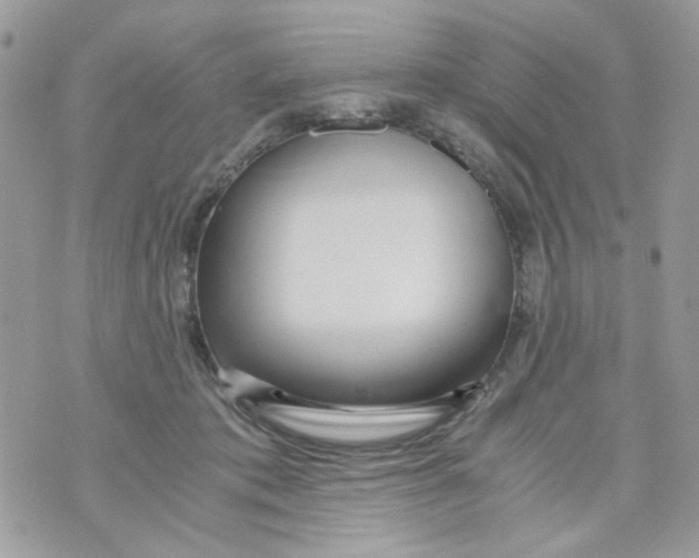 X0000071380413200607212217