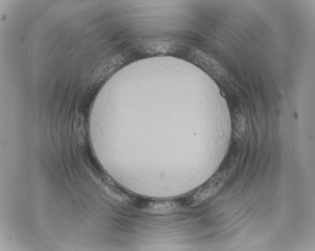 X0000071380414200607212217