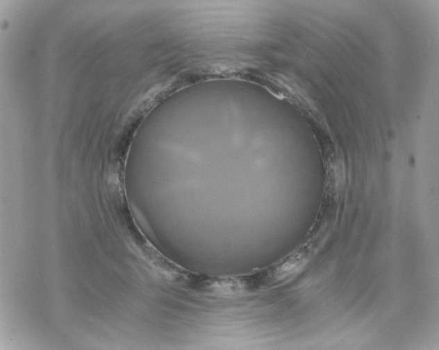 X0000071380415200607212217