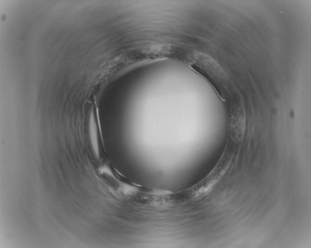 X0000071380416200607212217