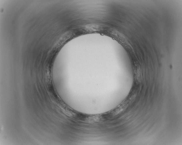 X0000071380418200607212217