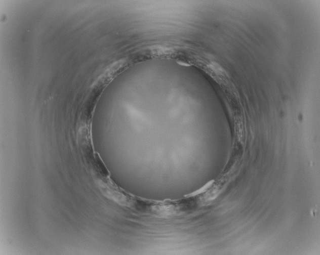 X0000071380419200607212217