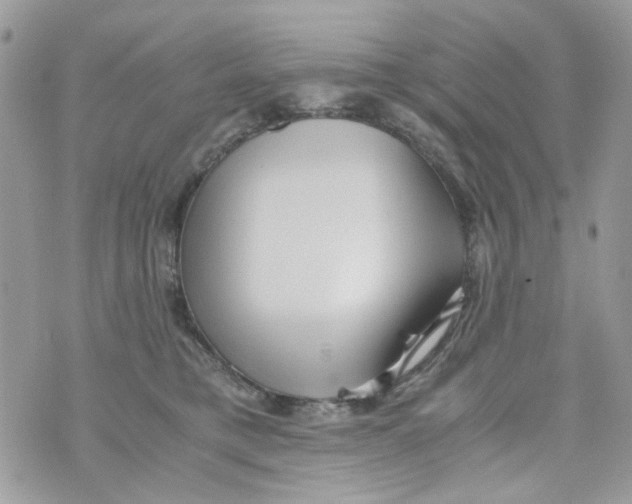 X0000071380421200607212217