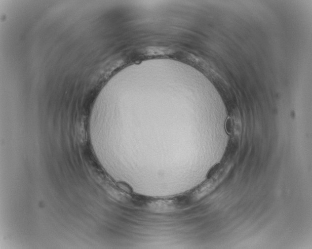 X0000071380422200607212217