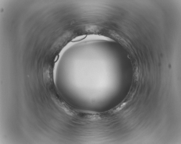 X0000071380424200607212217