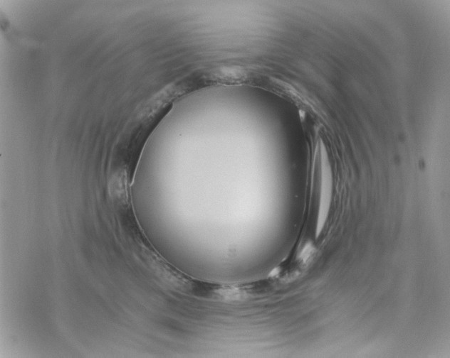 X0000071380425200607212217