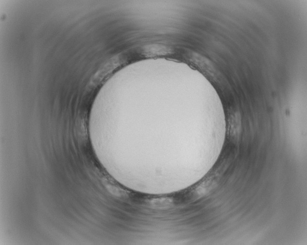 X0000071380426200607212217