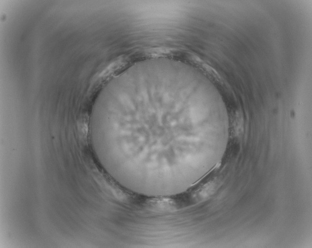 X0000071380427200607212217