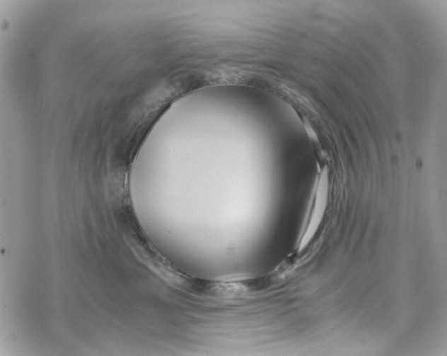 X0000071380429200607212217