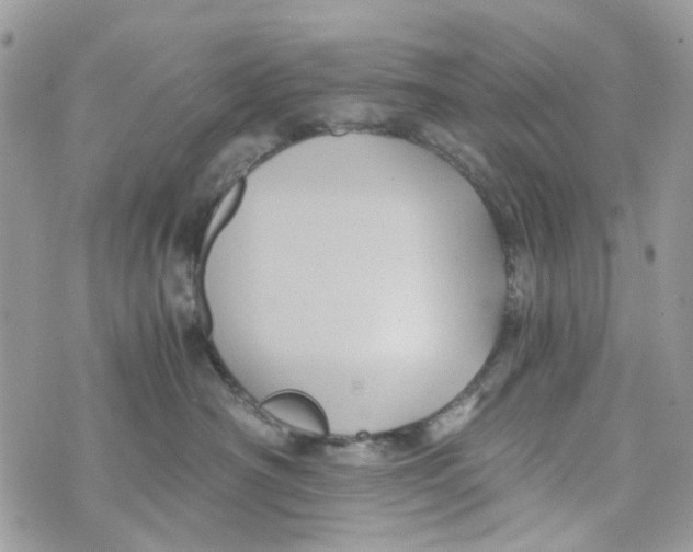 X0000071380430200607212217