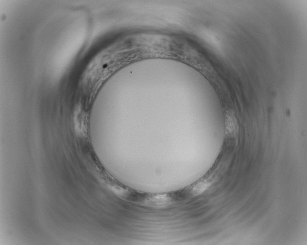 X0000071380431200607212217