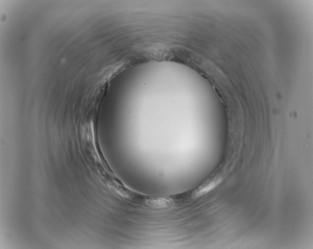 X0000071380432200607212217