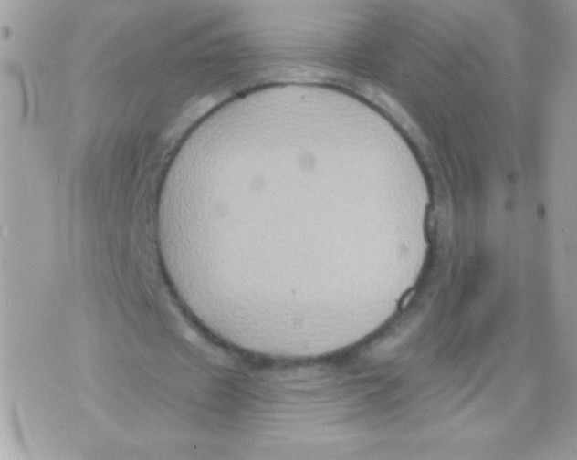 X0000071380433200607212216