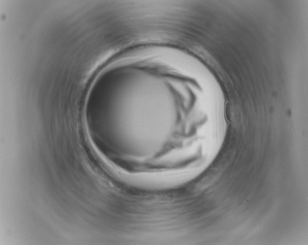 X0000071380434200607212216