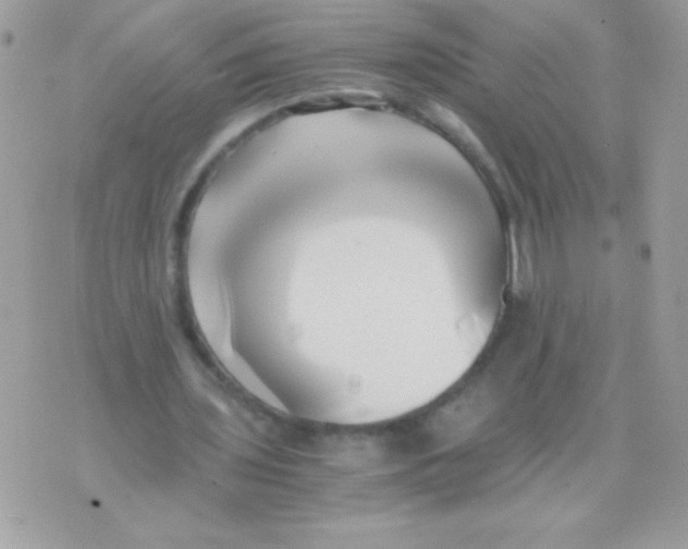 X0000071380435200607212216