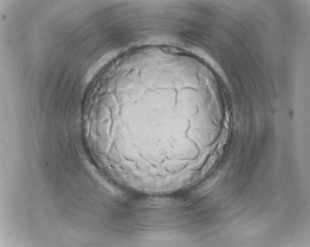 X0000071380437200607212216